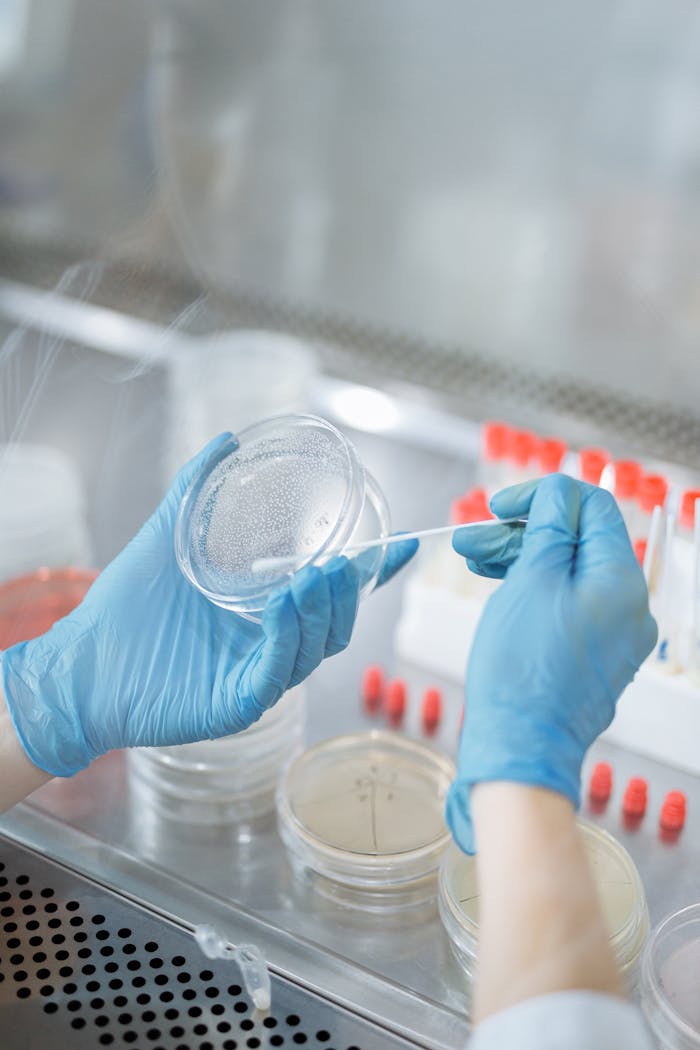 Scientist in gloves handling a petri dish with swab in a laboratory setting.